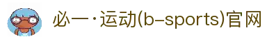 必一(运动科技有限公司)官方网站-B·Sport